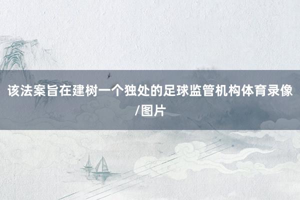 该法案旨在建树一个独处的足球监管机构体育录像/图片