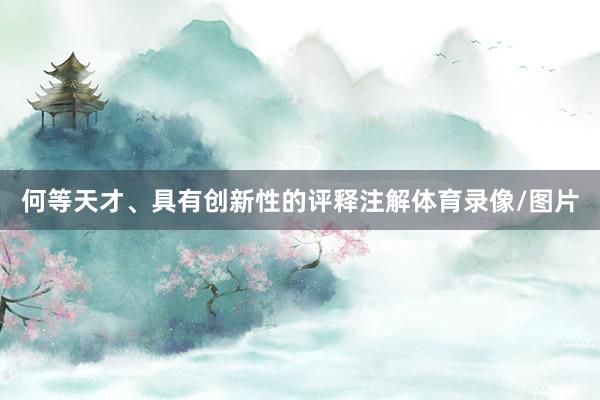 何等天才、具有创新性的评释注解体育录像/图片