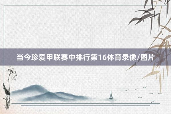 当今珍爱甲联赛中排行第16体育录像/图片