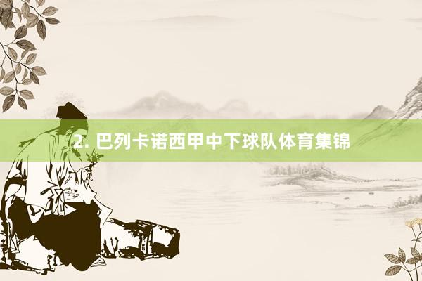 2. 巴列卡诺西甲中下球队体育集锦