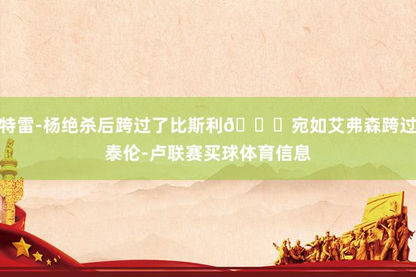 特雷-杨绝杀后跨过了比斯利💀宛如艾弗森跨过泰伦-卢联赛买球体育信息