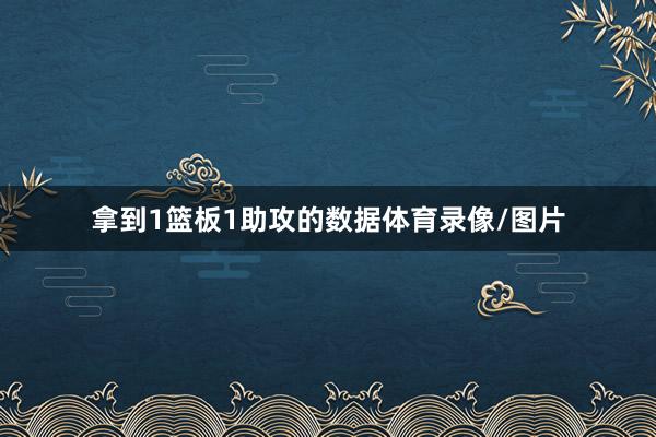 拿到1篮板1助攻的数据体育录像/图片