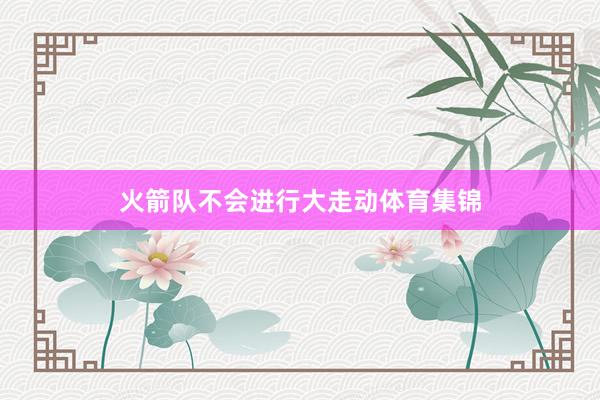 火箭队不会进行大走动体育集锦