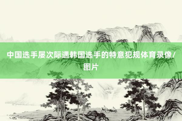 中国选手屡次际遇韩国选手的特意犯规体育录像/图片