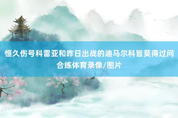 恒久伤号科雷亚和昨日出战的迪马尔科皆莫得过问合练体育录像/图片