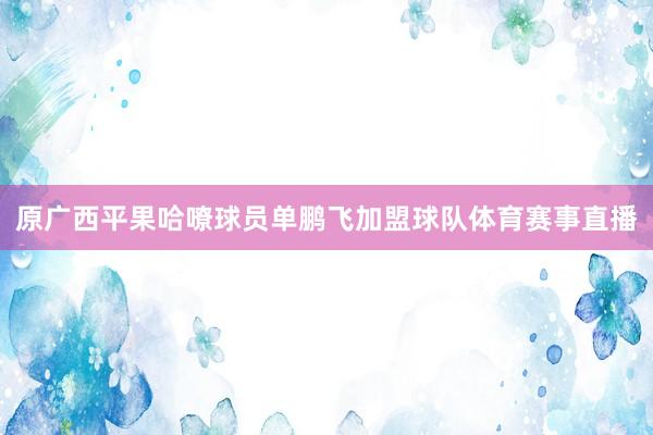 原广西平果哈嘹球员单鹏飞加盟球队体育赛事直播