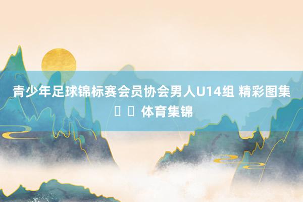 青少年足球锦标赛会员协会男人U14组 精彩图集 ​​体育集锦