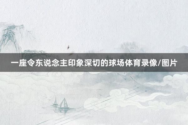 一座令东说念主印象深切的球场体育录像/图片