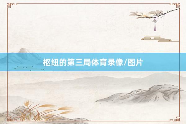 枢纽的第三局体育录像/图片