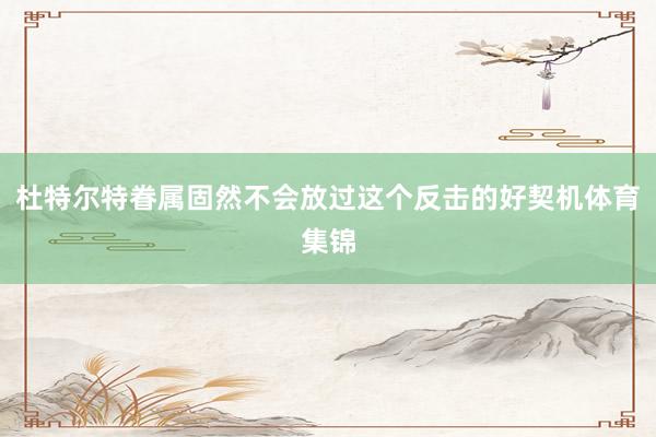 杜特尔特眷属固然不会放过这个反击的好契机体育集锦