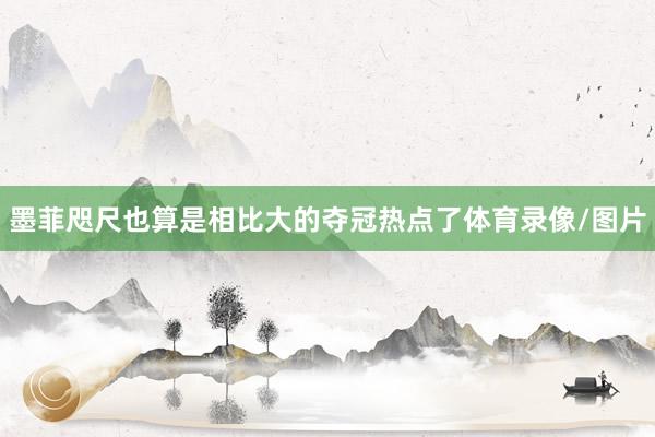 墨菲咫尺也算是相比大的夺冠热点了体育录像/图片