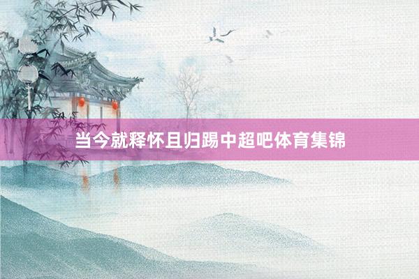 当今就释怀且归踢中超吧体育集锦