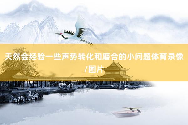 天然会经验一些声势转化和磨合的小问题体育录像/图片