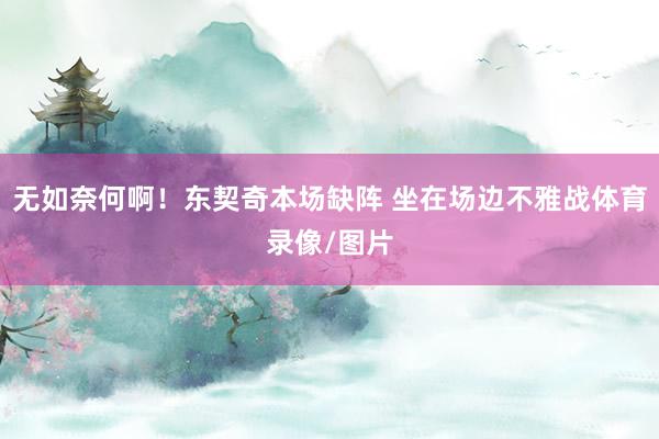 无如奈何啊！东契奇本场缺阵 坐在场边不雅战体育录像/图片