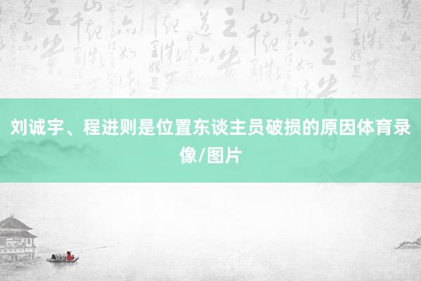 刘诚宇、程进则是位置东谈主员破损的原因体育录像/图片