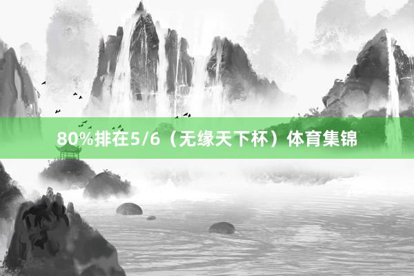 80%排在5/6（无缘天下杯）体育集锦