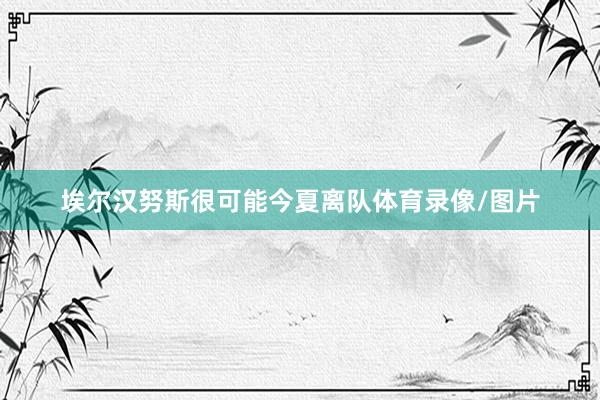 埃尔汉努斯很可能今夏离队体育录像/图片