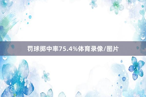 罚球掷中率75.4%体育录像/图片