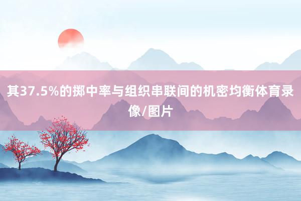 其37.5%的掷中率与组织串联间的机密均衡体育录像/图片