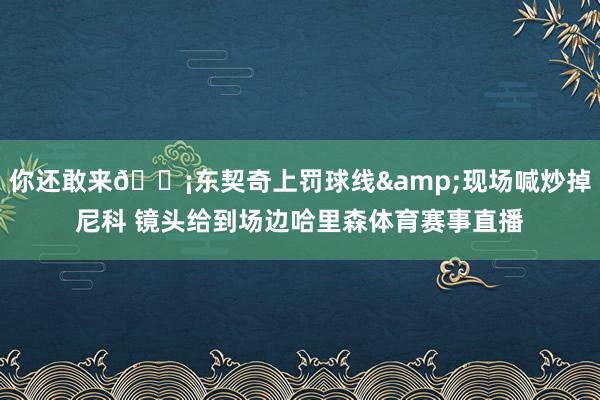 你还敢来😡东契奇上罚球线&现场喊炒掉尼科 镜头给到场边哈里森体育赛事直播