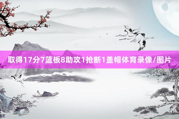 取得17分7篮板8助攻1抢断1盖帽体育录像/图片