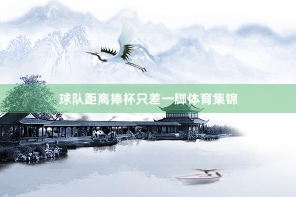 球队距离捧杯只差一脚体育集锦