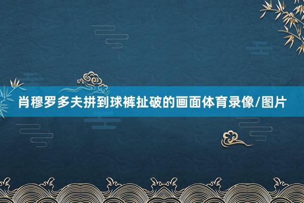 肖穆罗多夫拼到球裤扯破的画面体育录像/图片