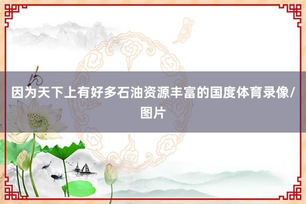 因为天下上有好多石油资源丰富的国度体育录像/图片