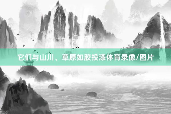 它们与山川、草原如胶投漆体育录像/图片