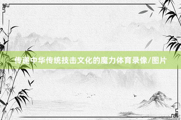 传递中华传统技击文化的魔力体育录像/图片