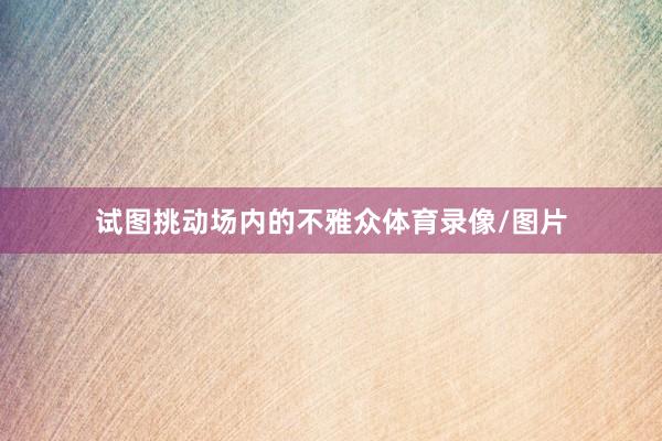 试图挑动场内的不雅众体育录像/图片