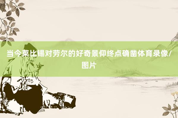 当今莱比锡对劳尔的好奇景仰终点确凿体育录像/图片