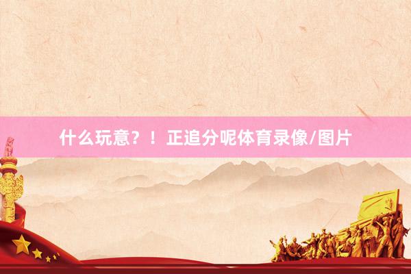 什么玩意？！正追分呢体育录像/图片