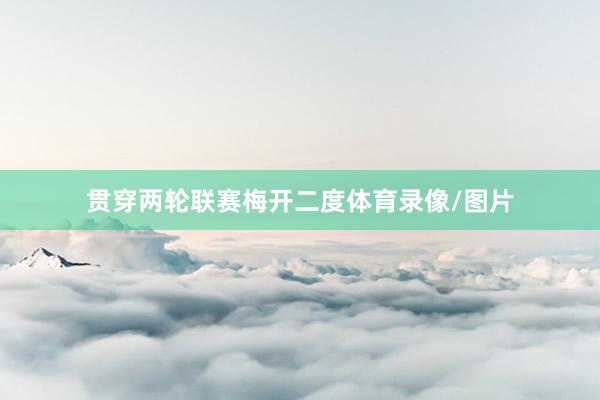 贯穿两轮联赛梅开二度体育录像/图片