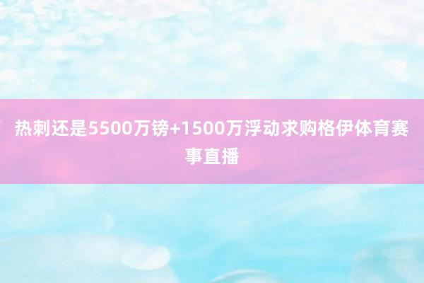 热刺还是5500万镑+1500万浮动求购格伊体育赛事直播