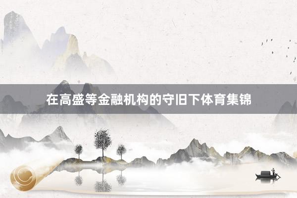在高盛等金融机构的守旧下体育集锦