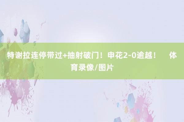 特谢拉连停带过+抽射破门！申花2-0逾越！    体育录像/图片