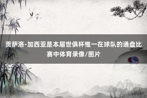 贡萨洛-加西亚是本届世俱杯惟一在球队的通盘比赛中体育录像/图片