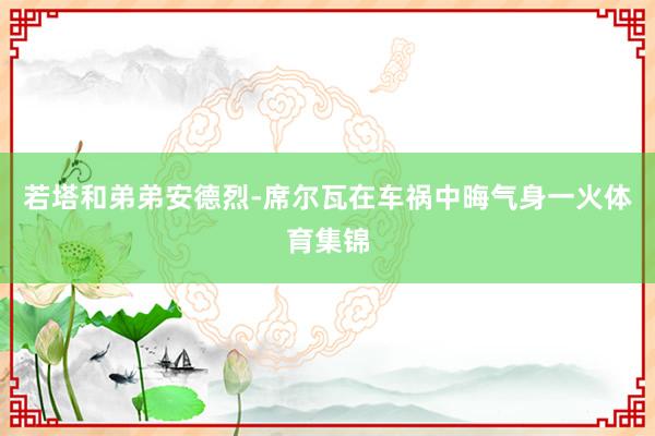 若塔和弟弟安德烈-席尔瓦在车祸中晦气身一火体育集锦