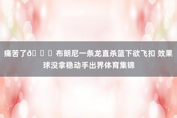 痛苦了🙃布朗尼一条龙直杀篮下欲飞扣 效果球没拿稳动手出界体育集锦