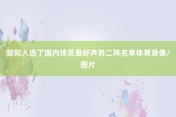 邹阳入选了国内球员最好声势二阵名单体育录像/图片