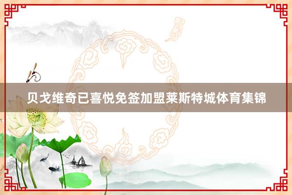 贝戈维奇已喜悦免签加盟莱斯特城体育集锦
