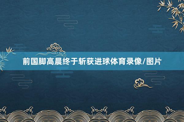 前国脚高晨终于斩获进球体育录像/图片